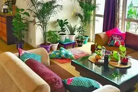 家家都该养的6种花，镇宅又好养，客厅一放全家受益！图片