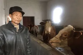 农村低保已确定再涨，相关补贴再提高，另外三种情况取消低保资格图片
