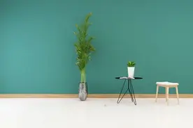 家里防潮，怎么做才有用？图片