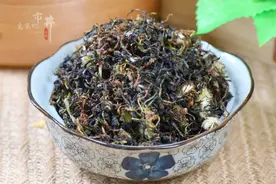 做蒲公英茶，记住1晒，1蒸，1炒的正确步骤，茶香四溢，寒性小图片