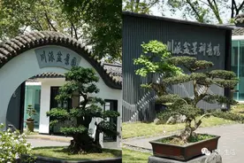 地铁直达！成都4家资格老公园，最近去正合适图片