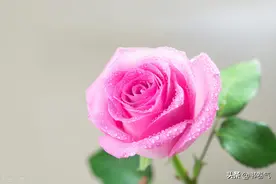 男人没有问过你2个问题，说明他并非真心爱你，你发现了吗？图片