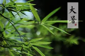 “六月初六三不空，财福丰收不落空”，明日六月六，3不空指啥？图片