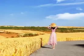 生命的丰盛，从享受孤独开始图片