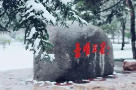 惊艳！山西云冈石窟迎来四月飞雪图片