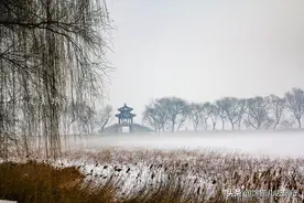 北京公园年票能去17个公园，包括两个5A级景区和九个4A级景区图片