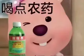 表情包：奇奇怪怪，可可爱爱图片