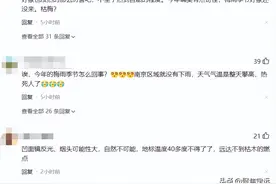 罕见！河南地表最高温74℃，南京树木自燃烧断根，为何如此反常？图片
