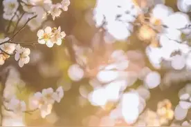 男人的红颜知己大多是这样的图片