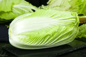 冬食白菜最养生图片