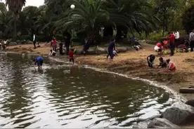 公园冠名该听谁的？宁波市湾头新建公园取名久拖不决引发社会争议图片