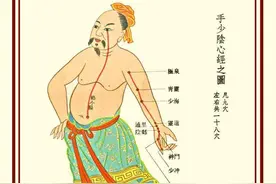 玫子科普：十二经脉，手厥阴心包经——心脑血管的安全卫士图片