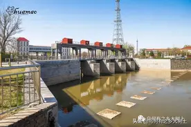 1963年大洪水，中央要求保卫天津，曾水淹白洋淀文安洼图片