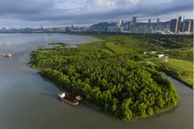 嗨玩五一|深圳福田游精选线路推荐：从市井生活到城市地标，我“氧”你！图片