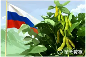 占比26%！中俄合作获新成绩：俄对华非转基因大豆出口位居第二图片