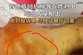 震惊！肯德基炸鸡竟藏有蛆虫？揭秘真相！图片
