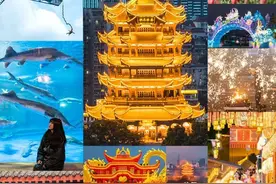 重磅！武汉20万张免费门票，预约通道来了图片