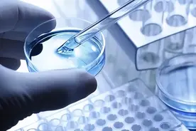 有机电合成与纳米催化材料图片