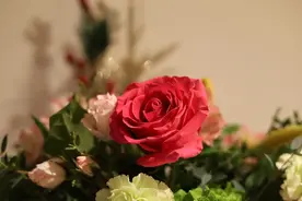 有一个情人，不离不弃，相爱一生图片