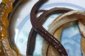 黄鳝——增强荷尔蒙激素的最佳食补图片