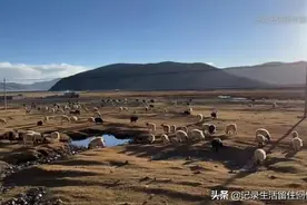 徐云流浪中国：是真爱旅行，还是逃避现实？自媒体让穷游梦想成真图片
