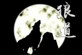 狼道：屡败屡战：拼搏到底的狼图片