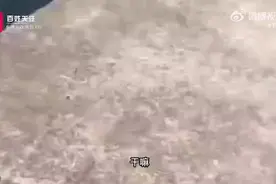 女子河边跑步被老头骚扰图片