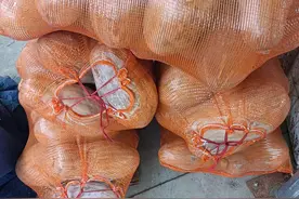 南瓜深加工产品--速溶南瓜晶加工技术图片