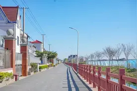 浦东的“四好农村路”数量不断增长，品质稳步提升图片