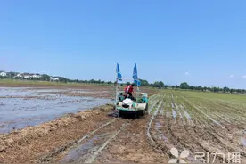 省人工提精度！苏州无人驾驶智能插秧机登场夏种图片