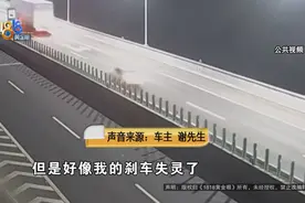 定速巡航失效狂奔？技师分析如何排险情图片