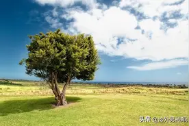不同牌子补中益气丸功效一样吗？所有补中益气丸价格一样吗？图片