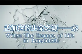 孟加拉的生命之源图片
