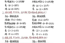 最详尽的鸡兔同笼问题。图片