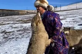 牧民意外救下草原狼王,被一口咬伤鲜血直流, 一年后狼群舍命报恩图片