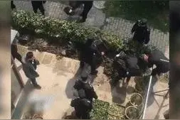 上海82岁老人在自家前院种菜，被强行毁掉，从通知到执行仅1小时图片