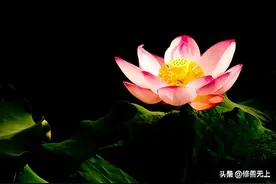 “有福之人，必有天相”，身上有这几个特征的人，福气满满！图片