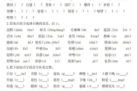 五年级语文下册（字、词、句）期末总复习题附答案图片