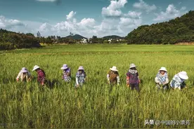 韩国打工的真实经历，第一次见识到“黑工”们的不容易，震撼图片
