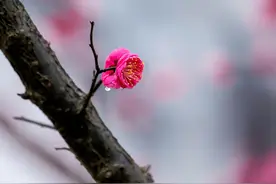 一个女人的高级感，不在于打扮，而在于两个特别之处图片