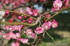 《道德经》里面的顶级智慧，看懂改变一生图片