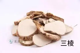 每天学习一味中药——三棱图片