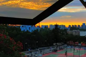 真假千金到底谁最可怜图片