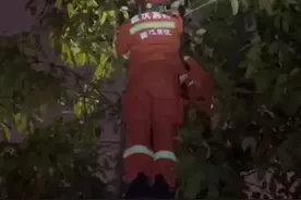 尴尬!上上下下不上不下：卡住了图片
