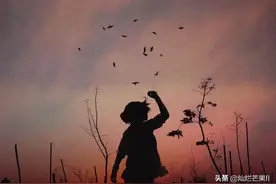 有些情绪，不需要告诉任何人图片