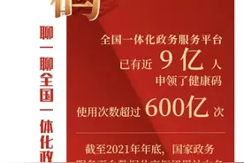 全国一体化政务服务平台的2021年图片