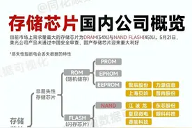存储芯片十大龙头！图片