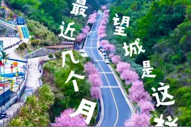 有被浪漫到！望城春日限定「花海」来了……图片