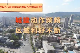 年报：通桥、修路、建公园！2021年宜宾城建利好不断图片