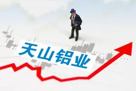 A股：天山铝业的大股东是谁？图片